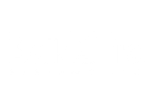 Bulk Pro Logo